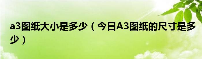 a3图纸多大像素 a3图纸的大小是多少mm