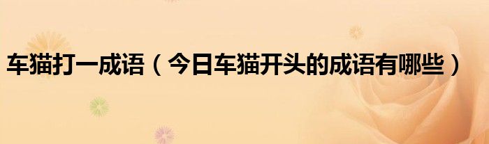 车猫是什么意思 车猫什么什么