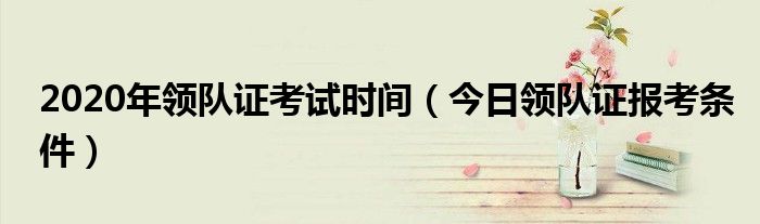 领队证报考年龄限制多少 领队证申请步骤