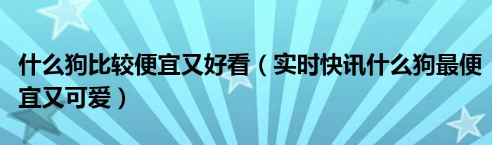 哪个地方买狗狗最便宜 什么宠物狗价格卖得最高