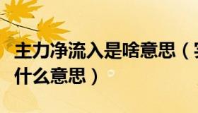 主力净流入是啥意思（实时快讯主力净流入是什么意思）