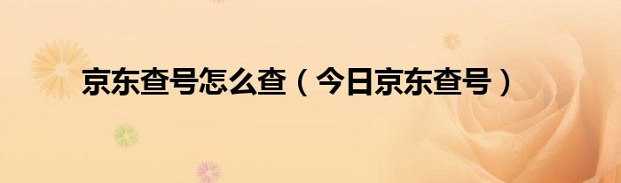 京东查询货号 京东查询号