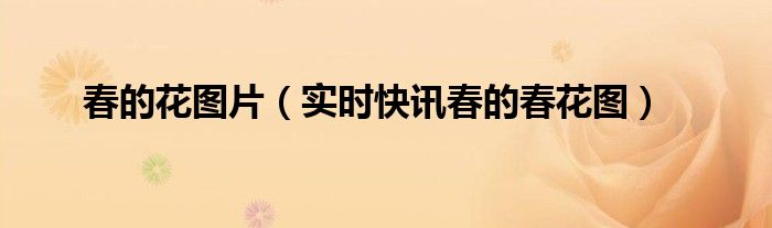 春的图片大全图库 春的春花图写了春什么特征