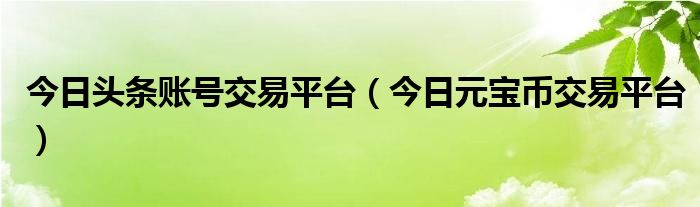 今日头条账号交易平台（今日元宝币交易平台）