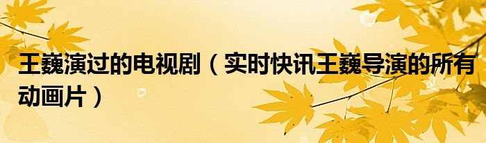 王巍女演员 王巍演过的电视剧