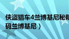 侠盗猎车4兰博基尼秘籍（实时快讯gta4作弊码兰博基尼）