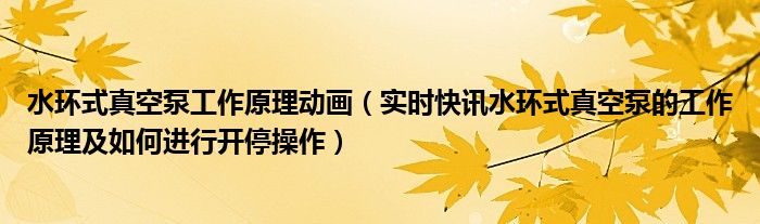 水环式真空泵的工作原理 水环式真空泵工作原理动图