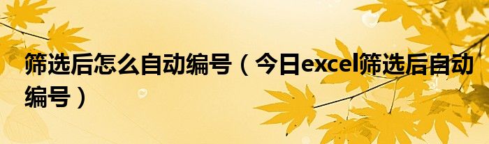 筛选后序号怎么复制粘贴 筛选后序号怎么设置自动排序