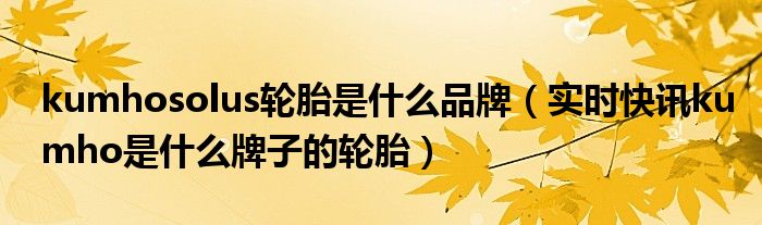 轮胎ht 轮胎kumho是什么牌子的轮胎