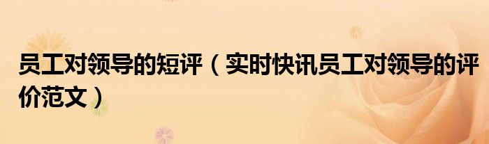 普通员工对领导的评价 员工对领导评价语简洁