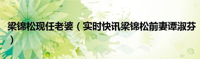 梁锦松的妻子 梁锦松的妻子谭淑芬现在情况
