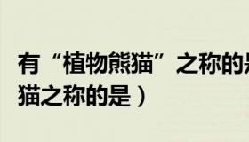 有“植物熊猫”之称的是（实时快讯有植物熊猫之称的是）