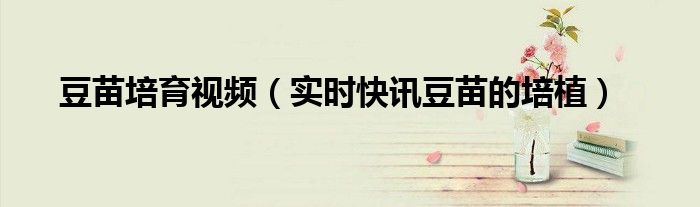 豆苗培育 豆苗高产栽培技术