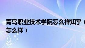 青岛职业技术学院怎么样知乎（实时快讯青岛职业技术学院怎么样）