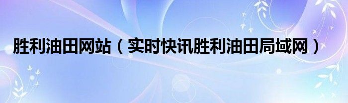 胜利油田首页内网网址 胜利油田主页生活版