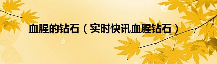 《血腥钻石》 血腥钻石说的是真的吗