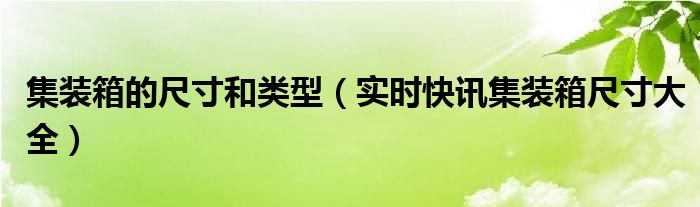 集装箱尺寸百度百科 集装箱尺寸一览表