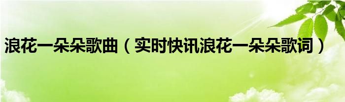浪花一朵朵的小浪花 浪花一朵朵原唱播放