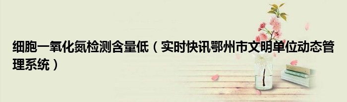 细胞一氧化氮检测含量低 细胞测一氧化氮