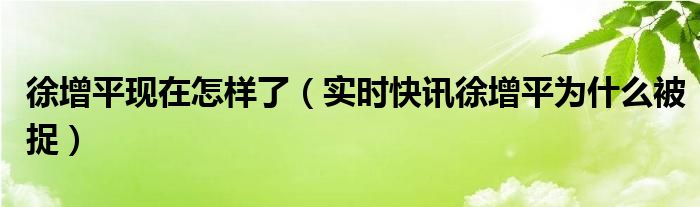 徐增平结果 徐增平现在干什么