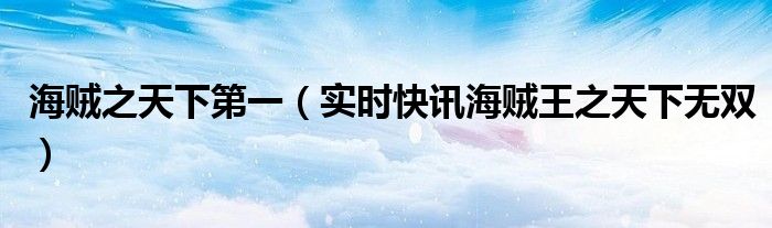 海贼之天下无敌 海贼王之天下由我下载