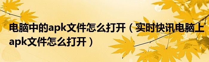 电脑上的apk文件是什么 电脑上的apk文件如何弄到电视上