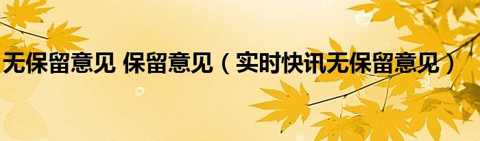 无保留意见 无保留意见和标准无保留意见