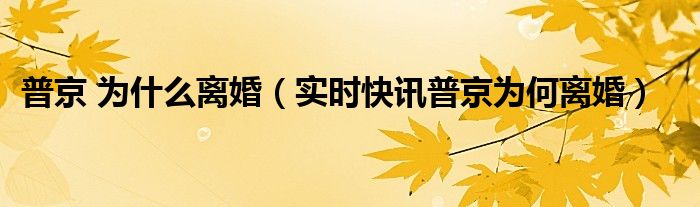 普京为什么离婚了 普京离婚是哪一年