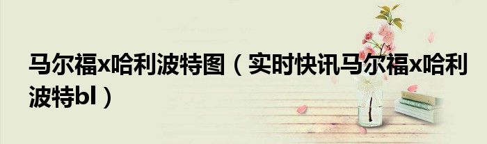 马尔福哈利波特图 马尔福哈利波特同框照片