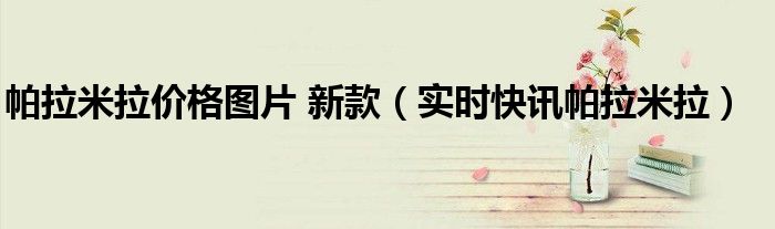 帕拉梅拉有现车吗 帕拉梅拉落地多少钱