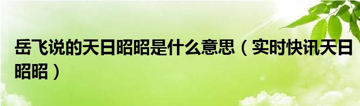 岳飞的天日昭昭 岳飞天日昭昭讲的什么意思
