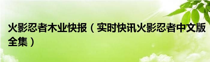 火影忍者正版授权大汇总 火影忍者木叶快报每周发布