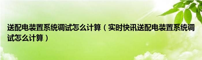 送配电装置系统多少钱一套 送配电系统调试计算规则