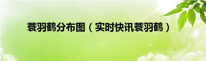 蓑羽鹤幼鸟 蓑羽鹤视频