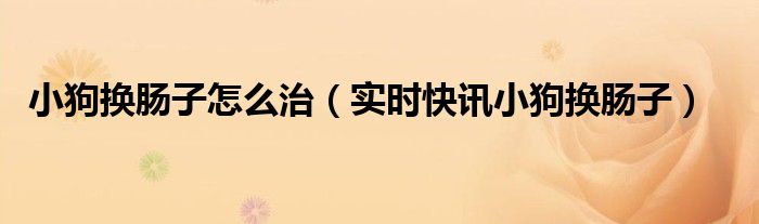 狗崽换肠有什么状态 小狗换肠需要多长时间