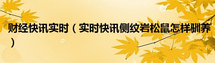 财经快讯app下载 财经快讯实时消息