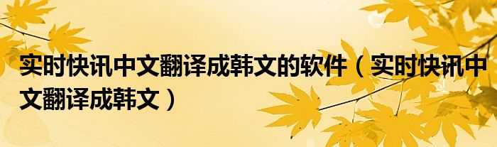 实时英语翻译成中文 实时韩文翻译器