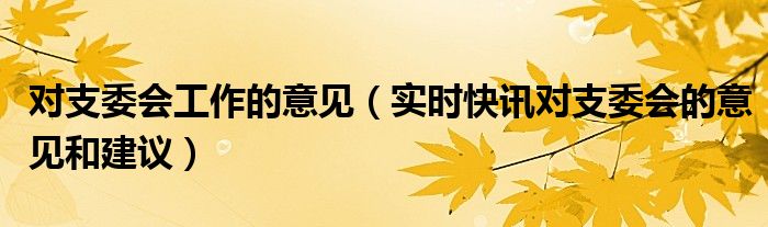 对于支委会的意见 对支委的建议和意见怎么写