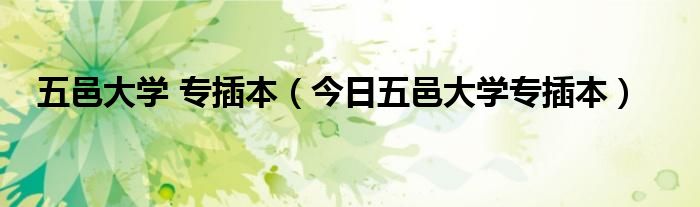 五邑大学插本考试科目 五邑大学插本招生简章