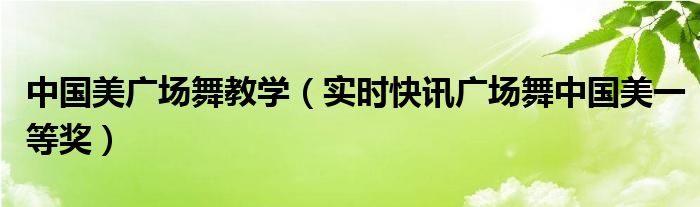 广场舞中国美一等奖全国比赛 中国美广场舞分解视频