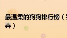 最温柔的狗狗排行榜（实时快讯温顺母狗容易弄）