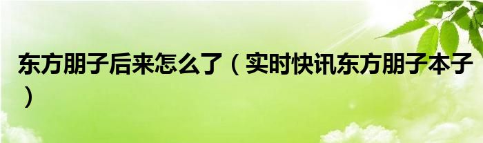 东方朋子 东方朋子资料