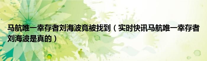 马航唯一幸存者刘海波竟被找到（实时快讯马航唯一幸存者刘海波是真的）