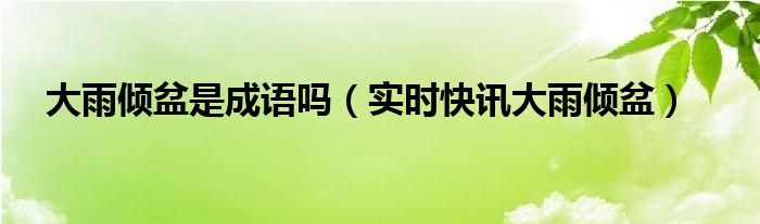 大雨倾盆打一数字 大雨倾盆打一生肖谢谢百度
