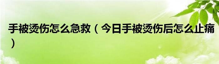 手被烫伤了怎么办特别疼没有烫伤膏 手被烫伤了怎么缓解