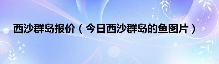 西沙群岛价目表2024 西沙群岛价格表