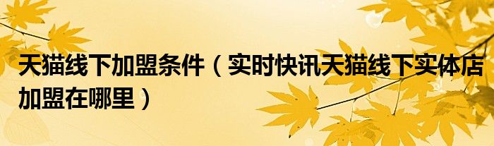 天猫实体店怎么加盟费多少 天猫线下实体店加盟方式及前景