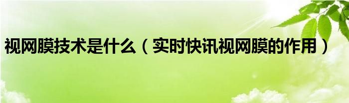 视网膜起到什么作用 视网膜的主要作用是什么