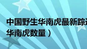 中国野生华南虎最新踪迹（实时快讯中国野生华南虎数量）
