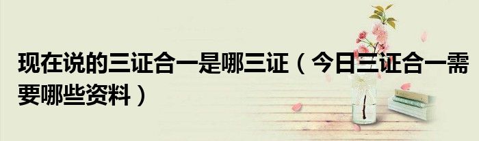 三证合一今年是哪三证 三证合一政策的三证是哪三证